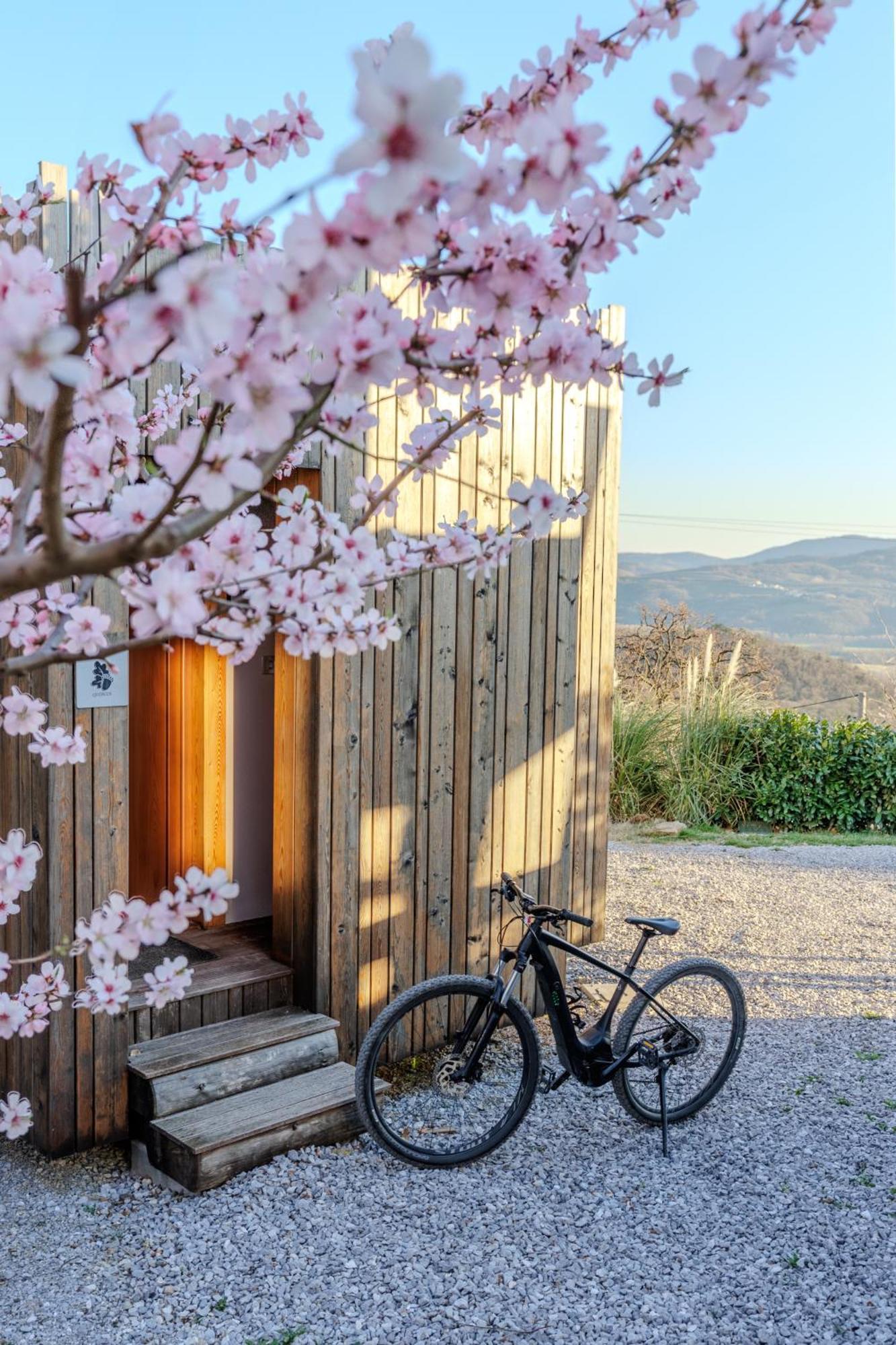דירות Dobravlje Panorama Glamping Vipavska Dolina מראה חיצוני תמונה